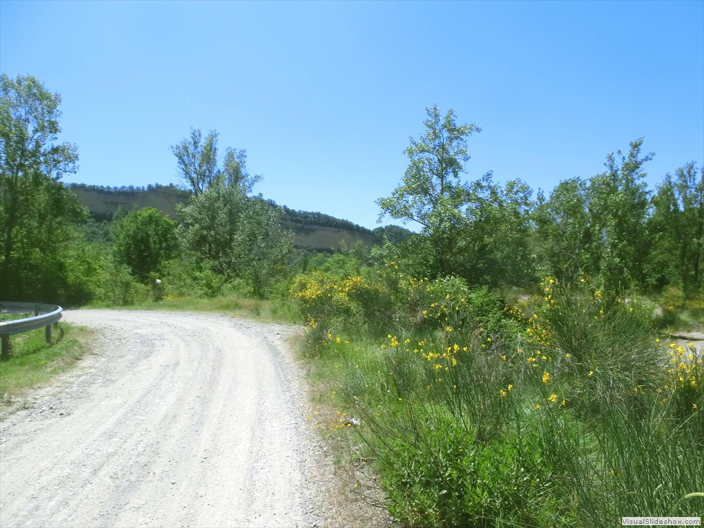 ros12053