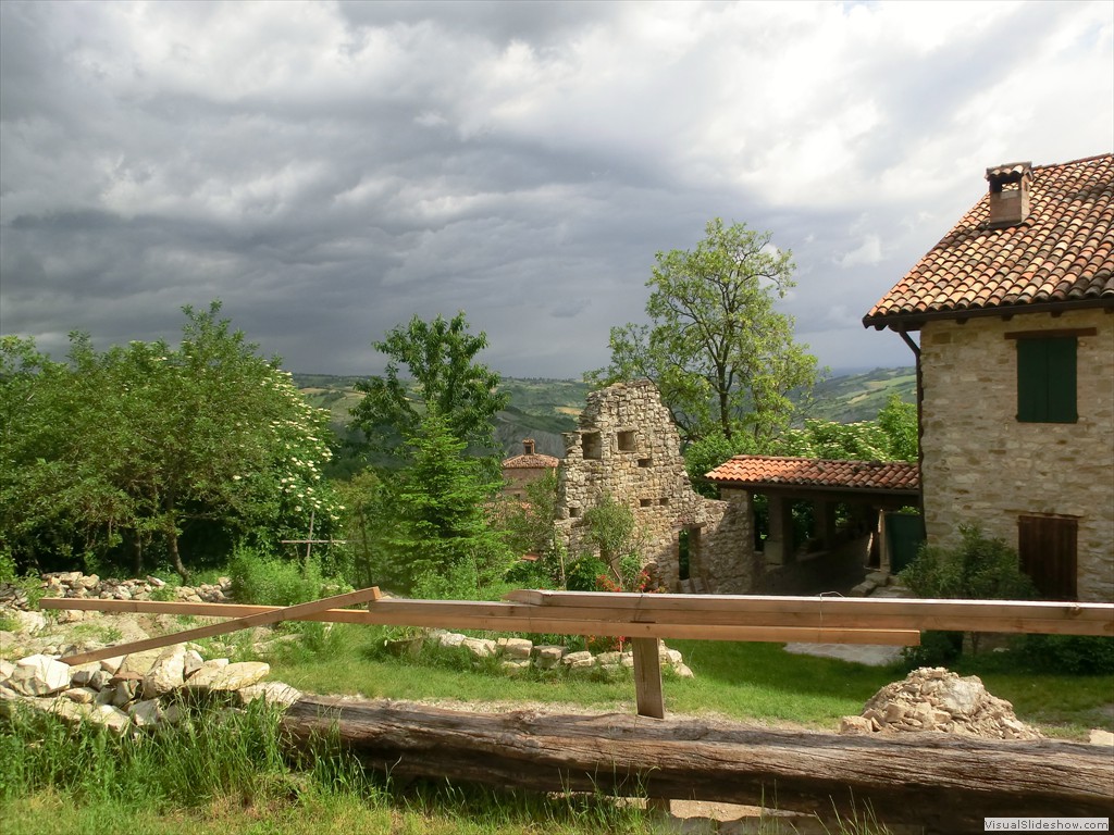 pav12011