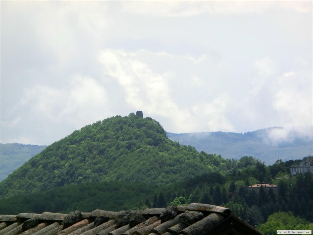 pav12055