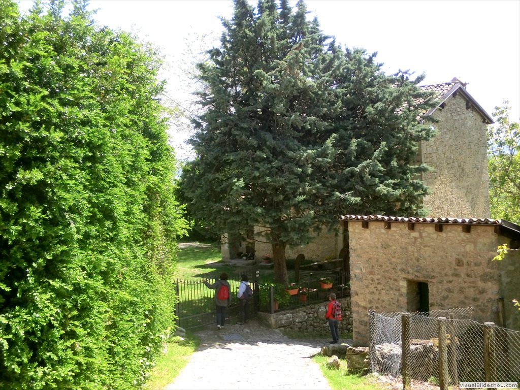 pav12064