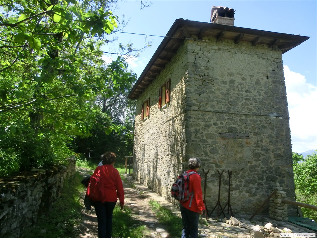 pav12068