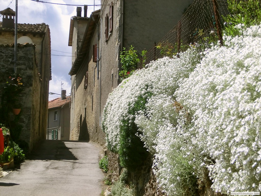 pav12076