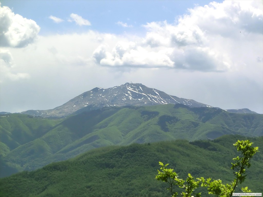 pav12092