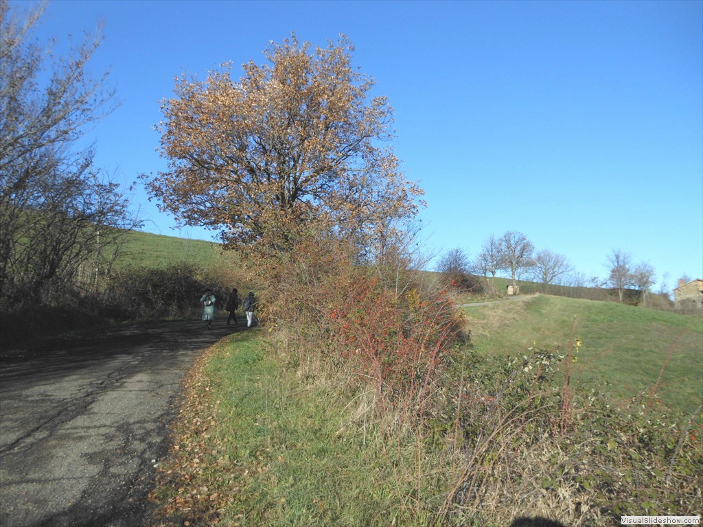 den12007