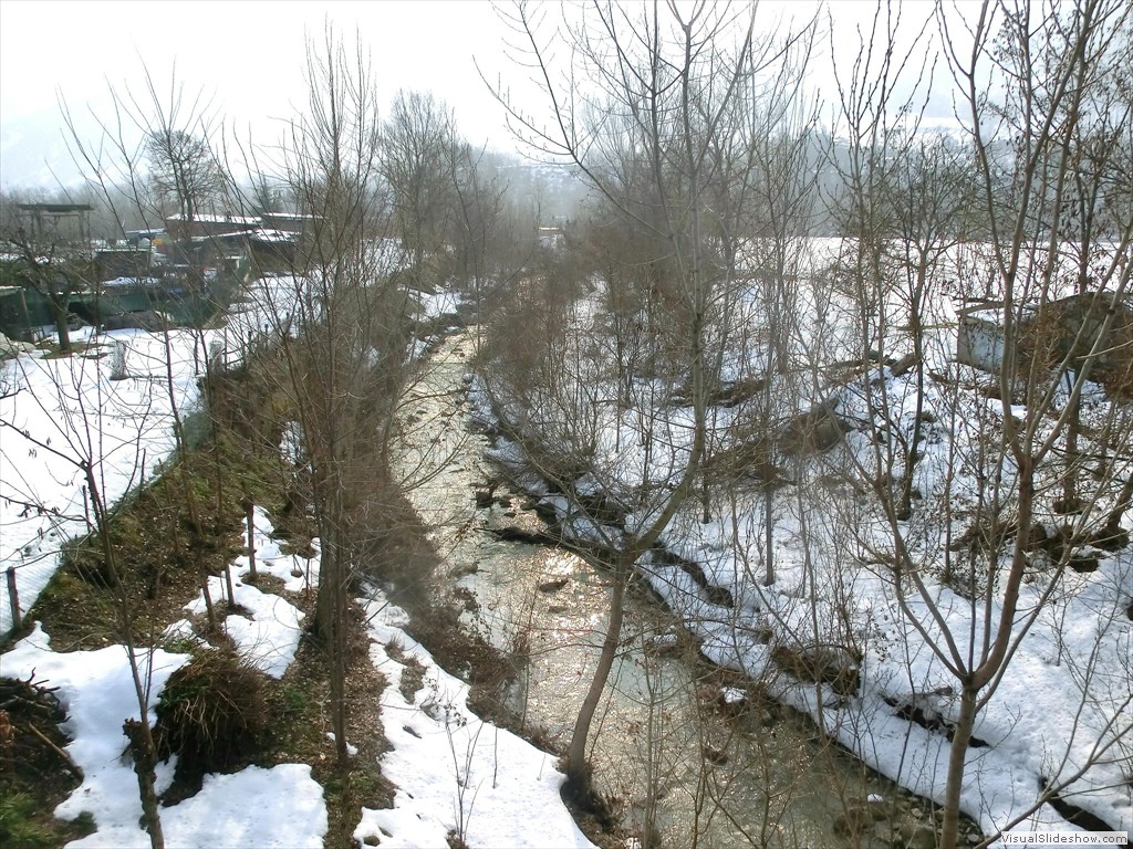 mso12007