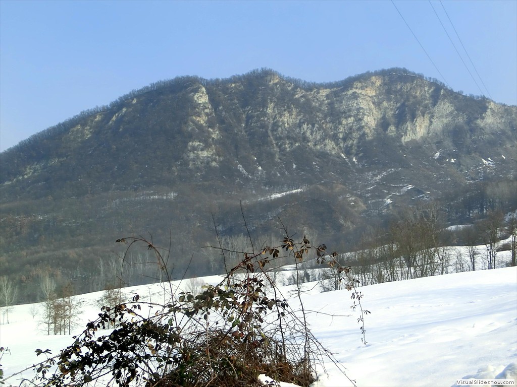 mso12025
