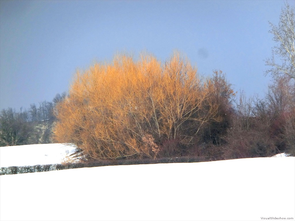 mso12034