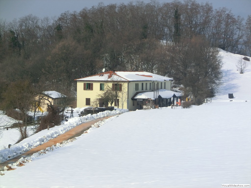 mso12037