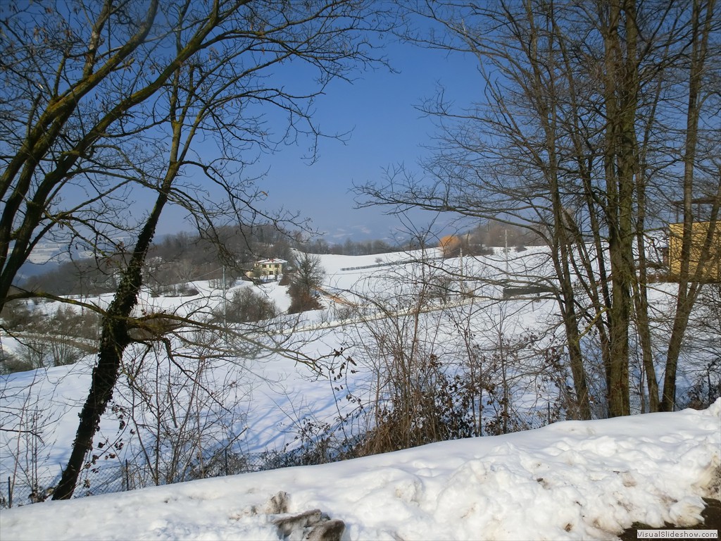 mso12057