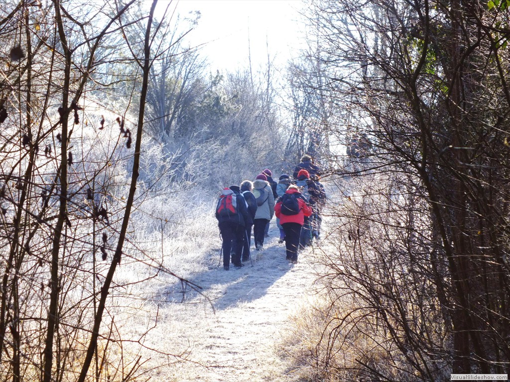 an120011