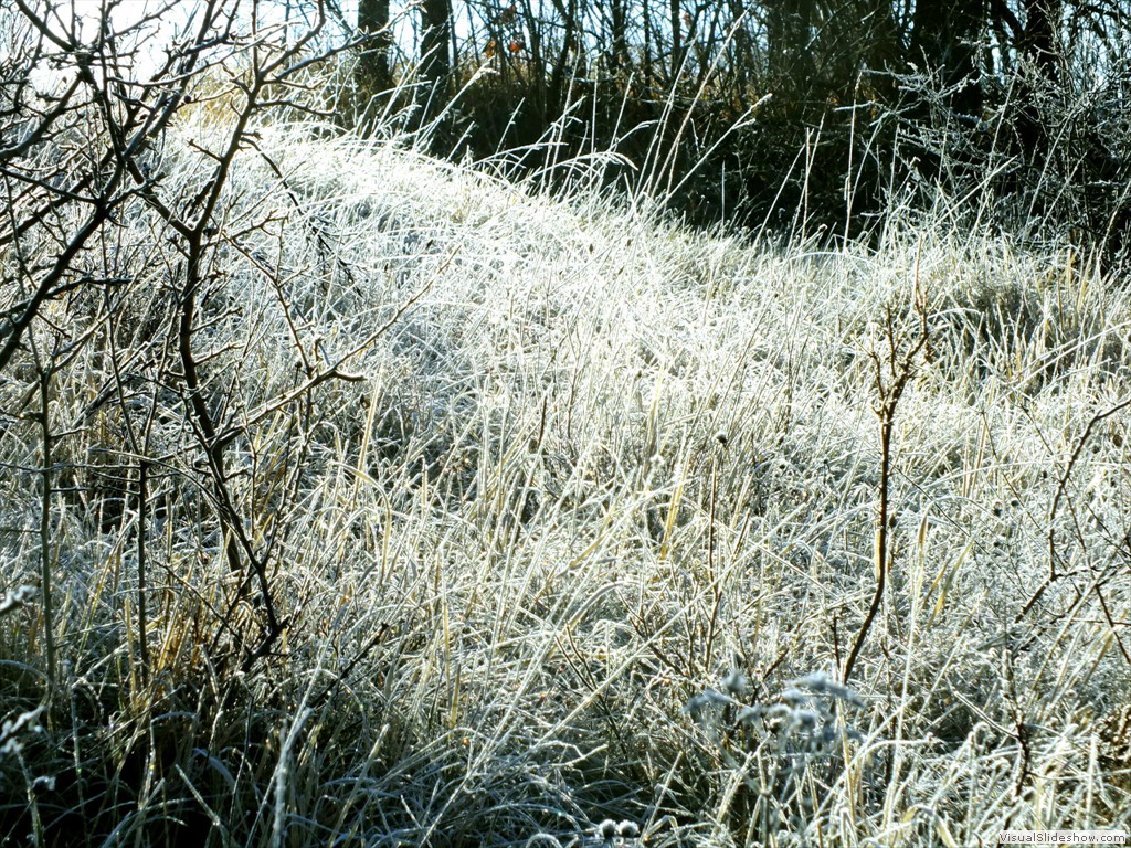 an120016