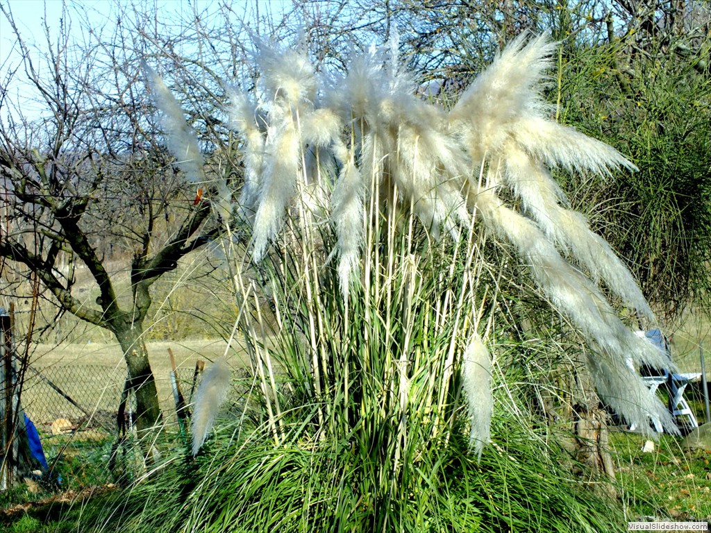 an120031