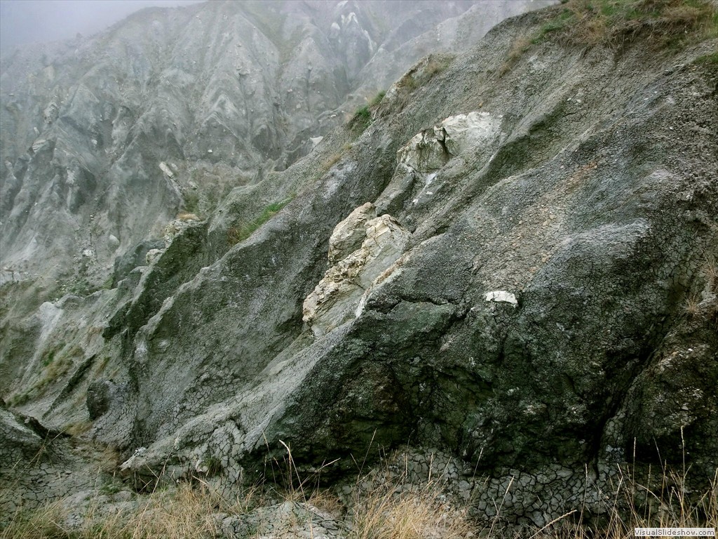 PAQ12023