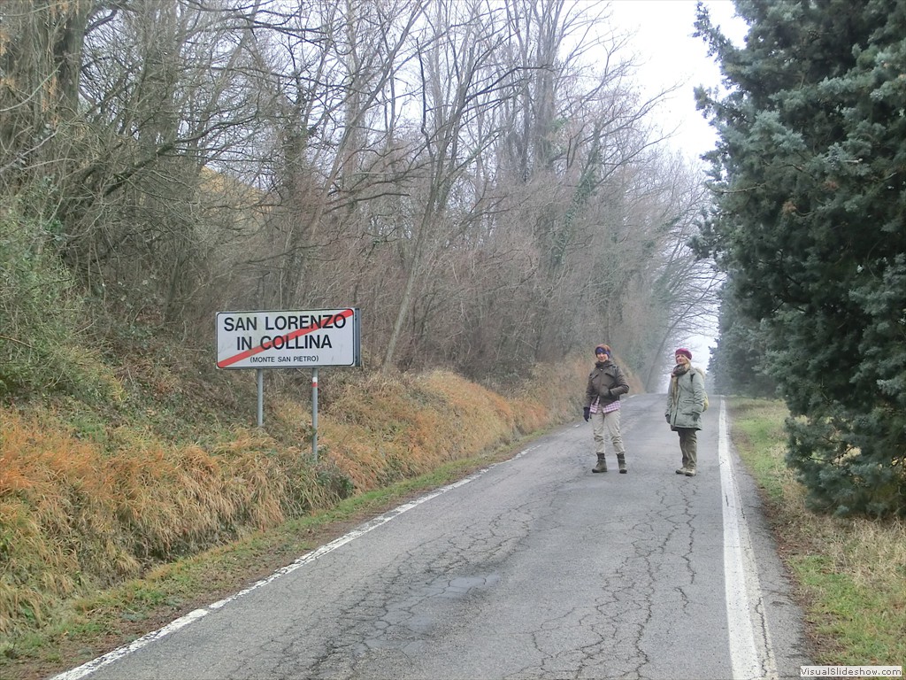 zol12054