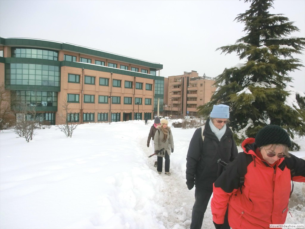 cld12005
