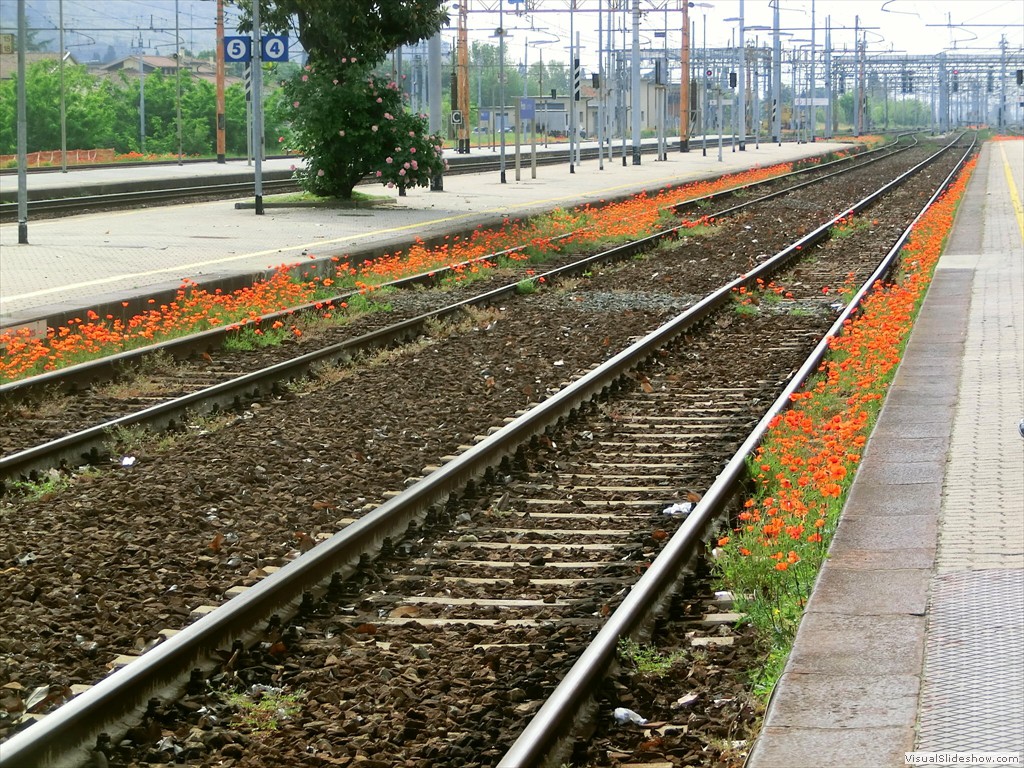 fir12001