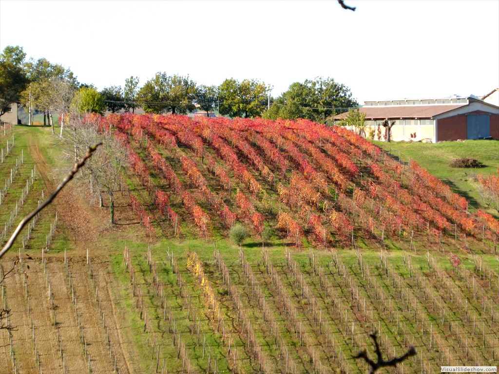 P1010961