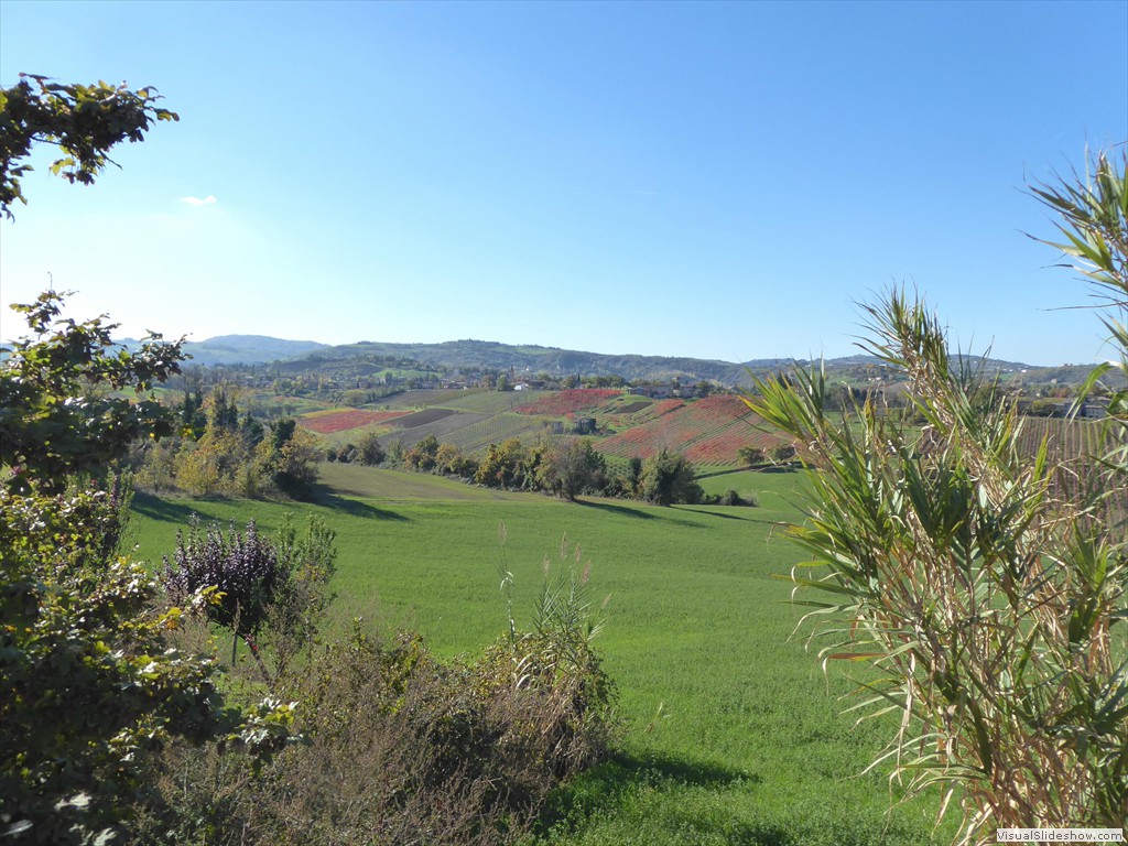 P1010974