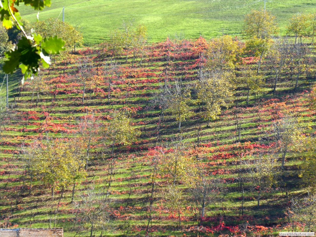 P1020006