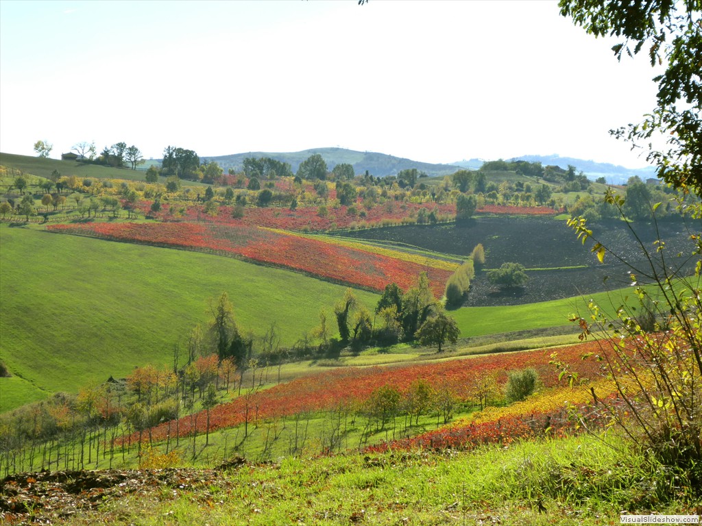 P1020011