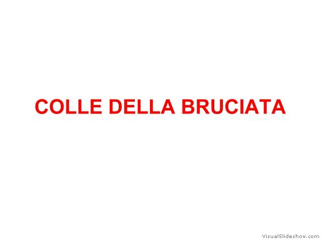 BRUCIATA