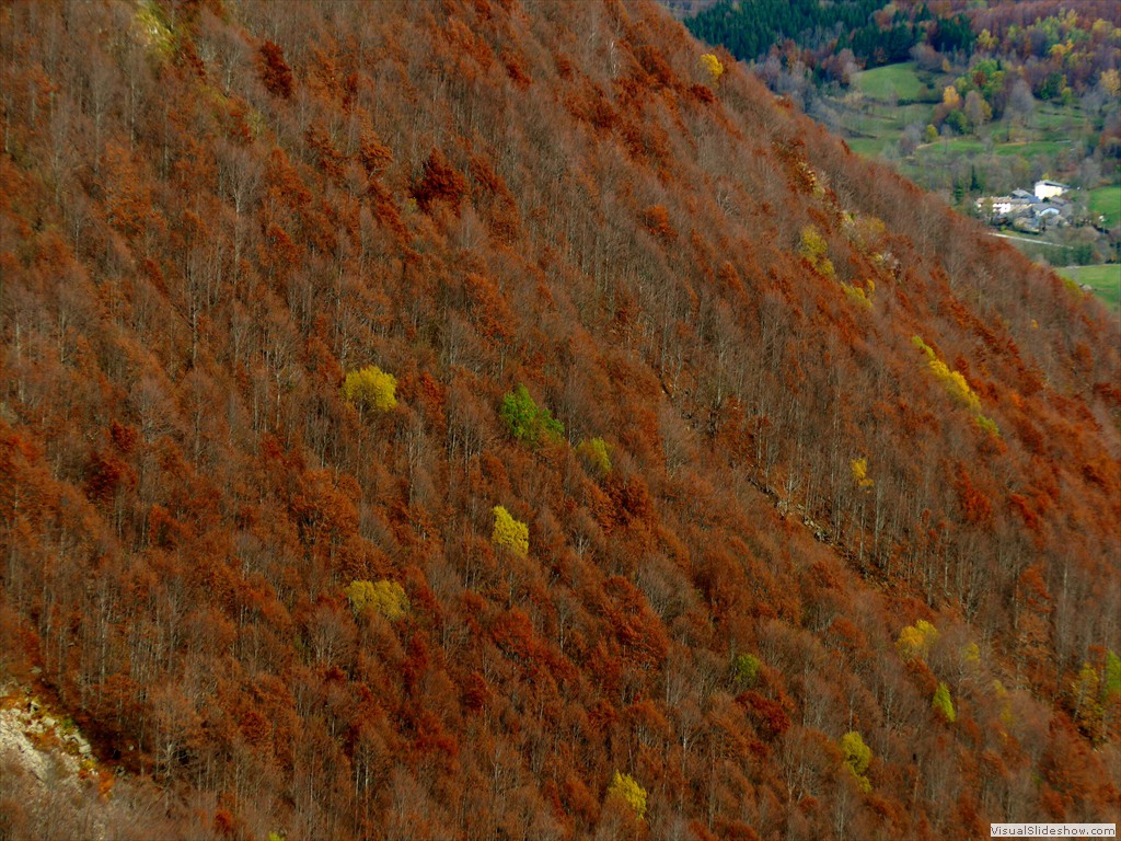 P1080456