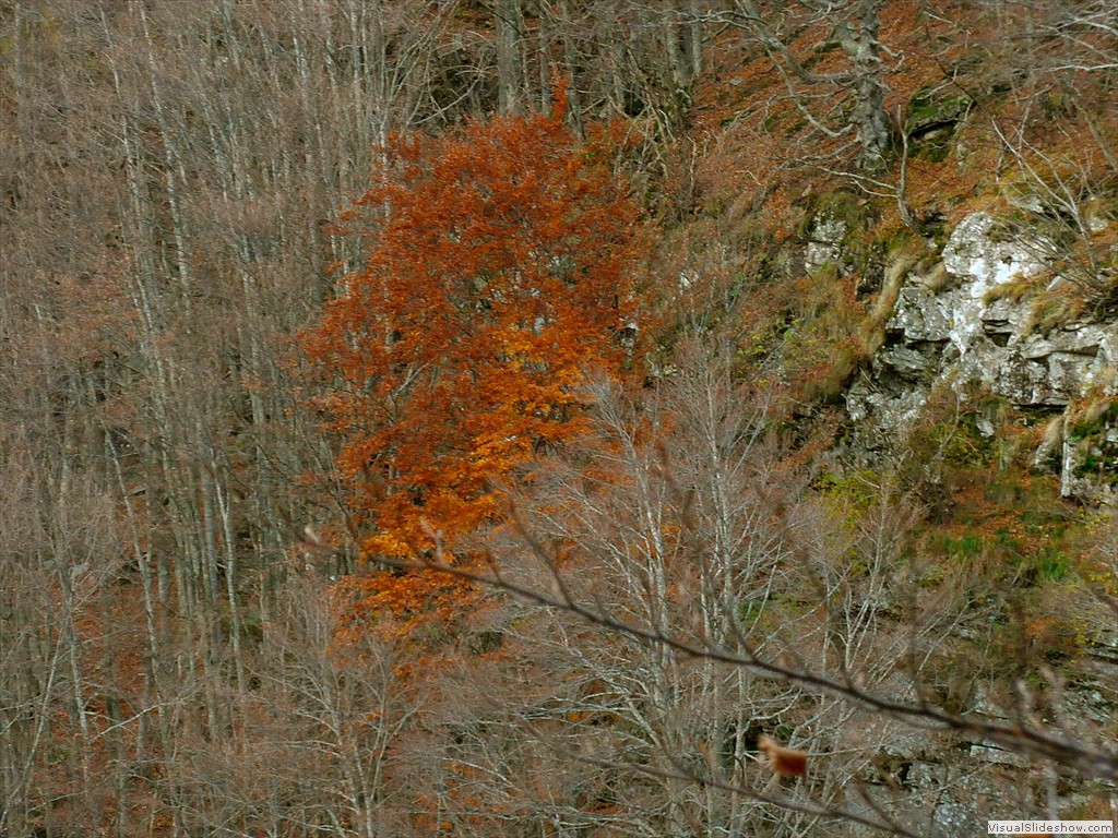 P1080594