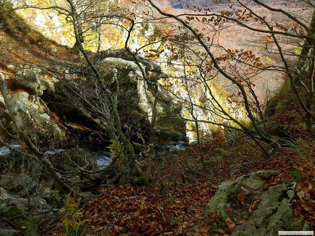 P1080613