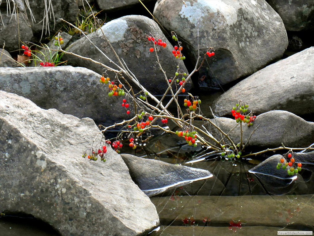 P1080670