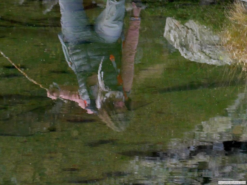 P1080679