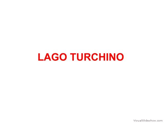 TURCHINO