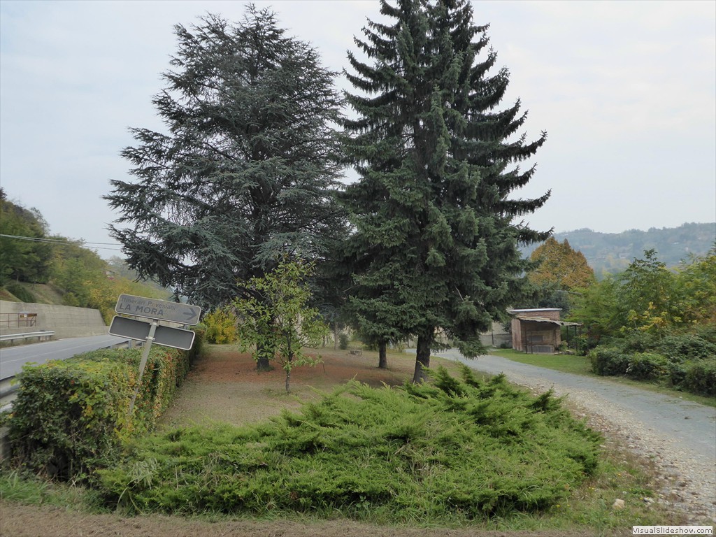 P1010191