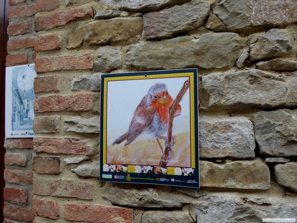 P1010204