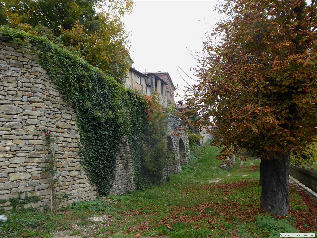 P1010227