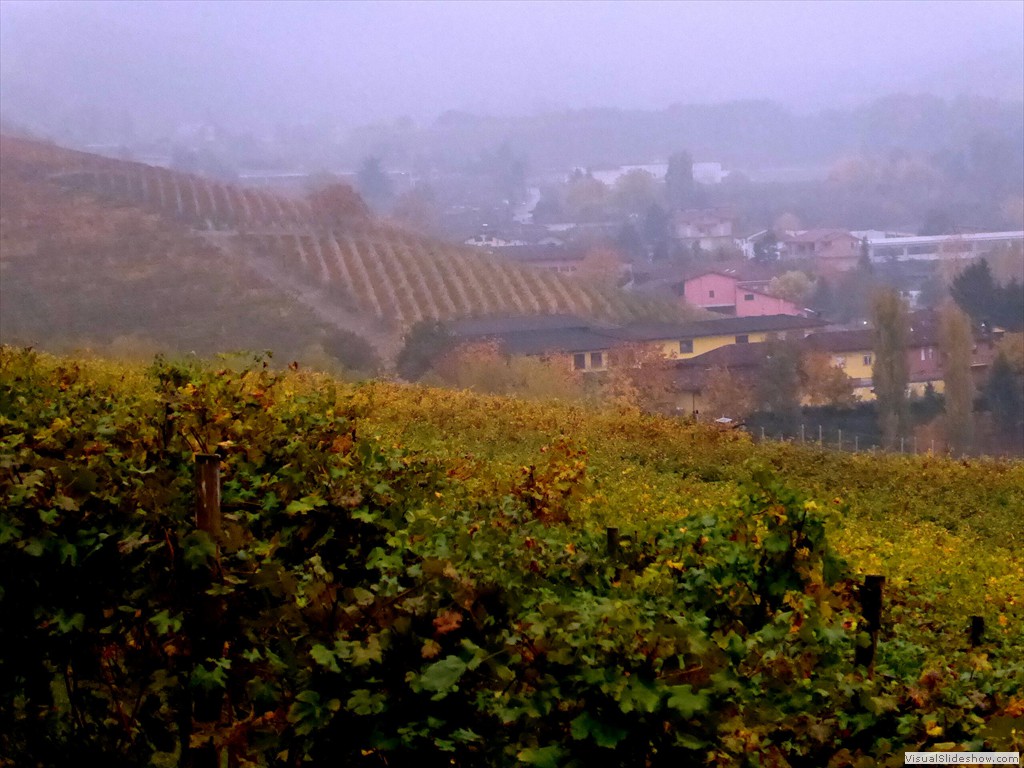 P1010290
