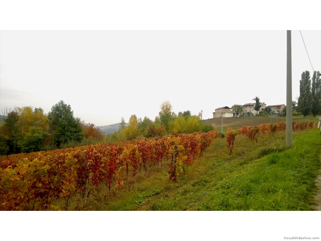 WP_20161024_005