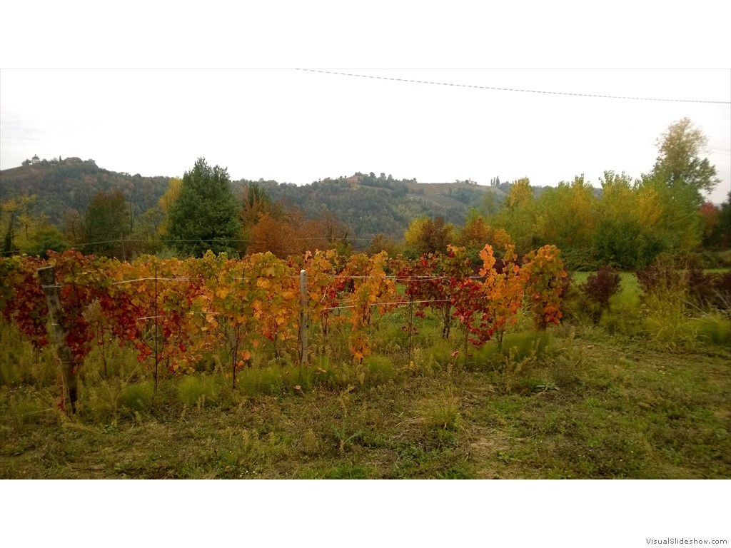 WP_20161024_006