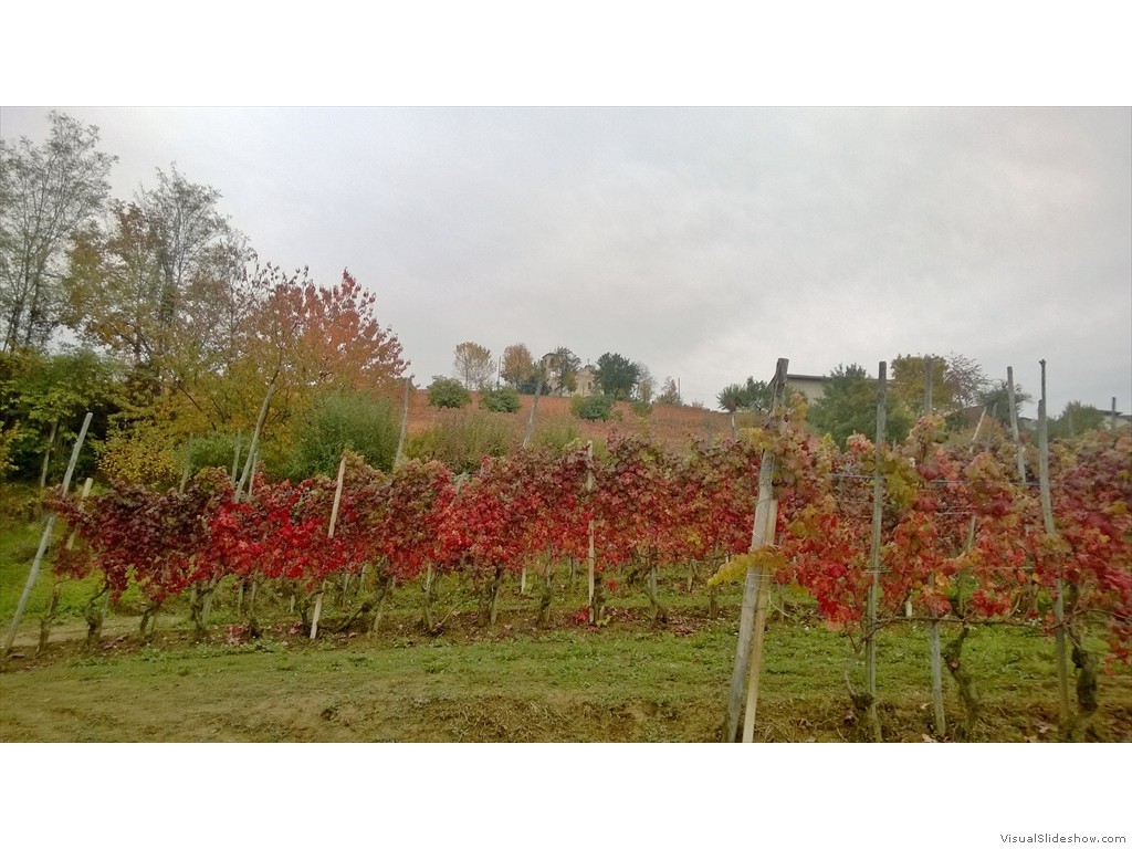 WP_20161024_009