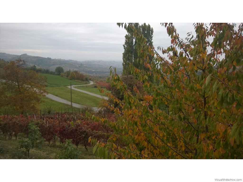 WP_20161024_010