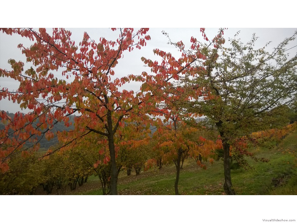 WP_20161024_014