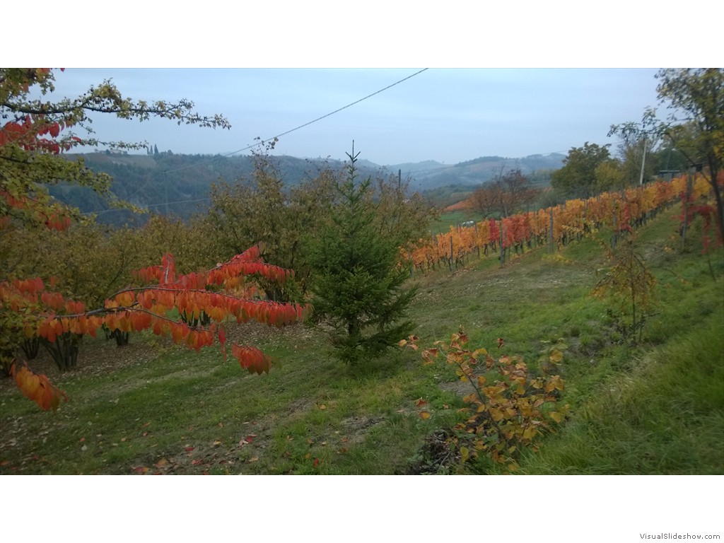 WP_20161024_015