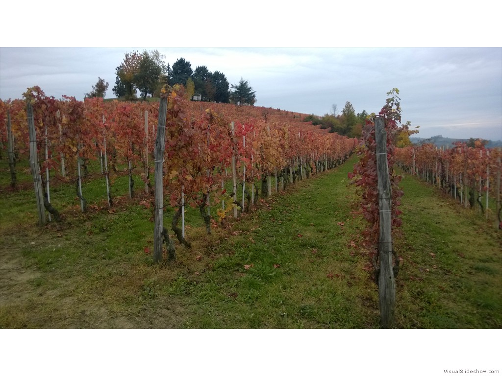 WP_20161024_016