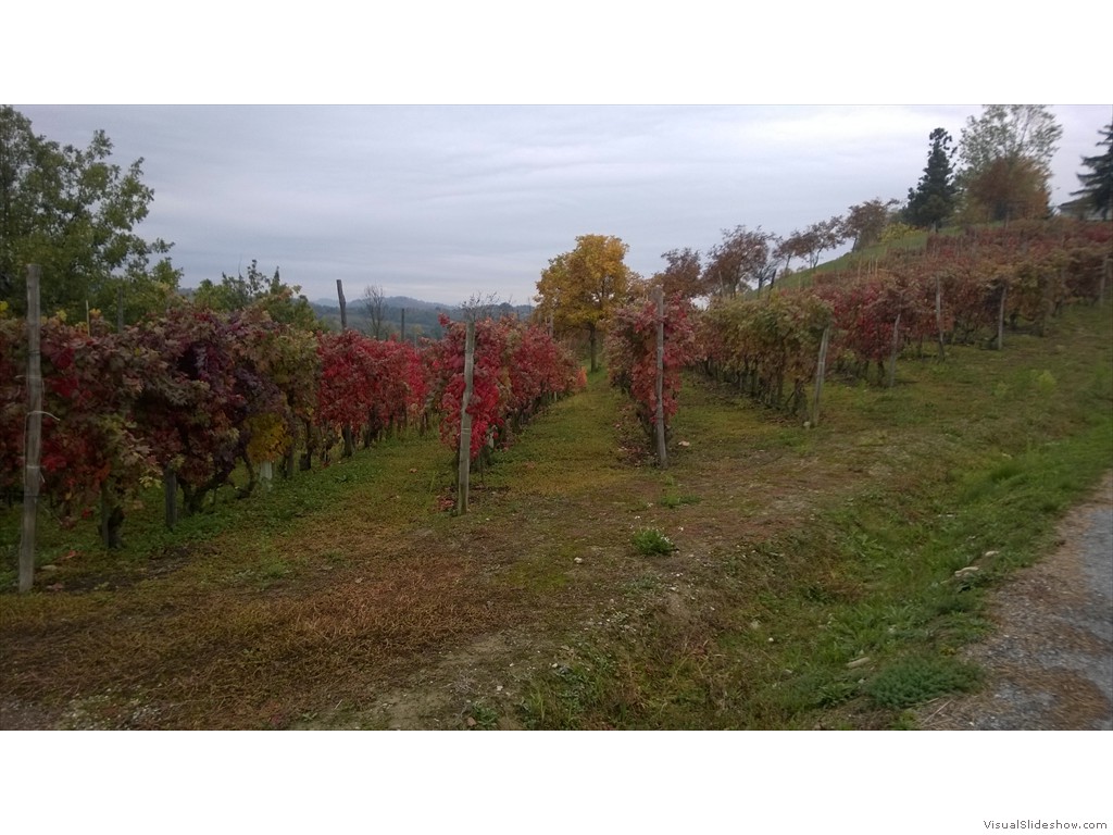 WP_20161024_017