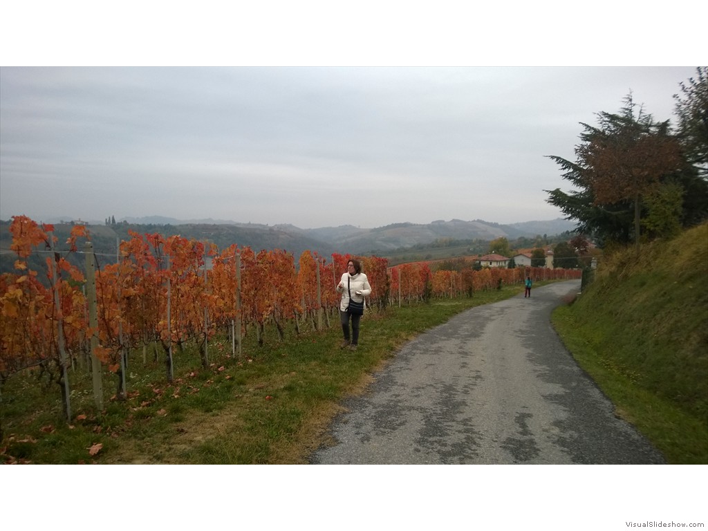 WP_20161024_019
