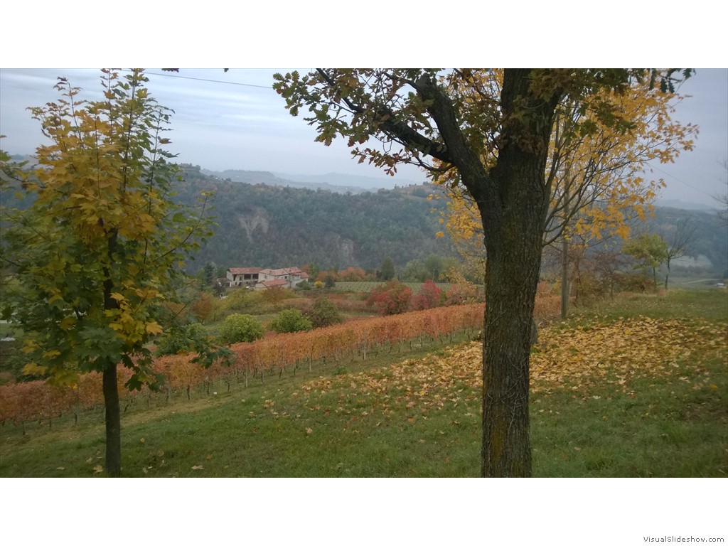 WP_20161024_022
