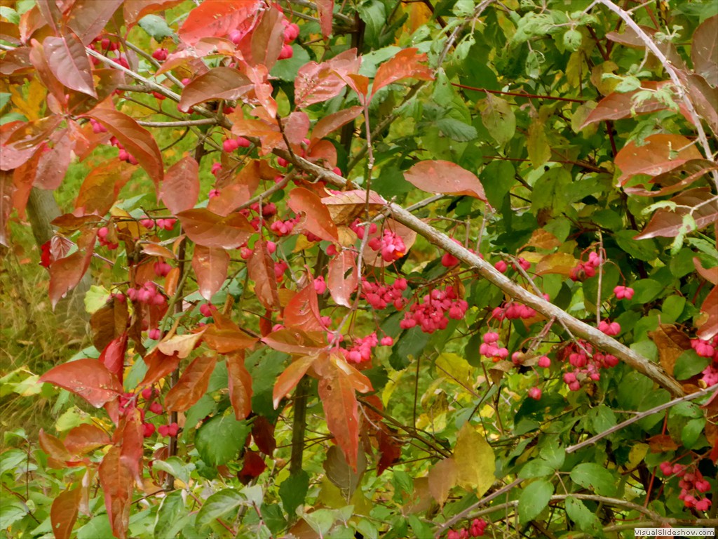 P1010480