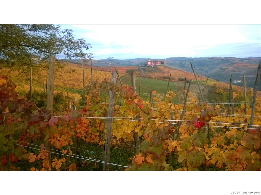 WP_20161025_010