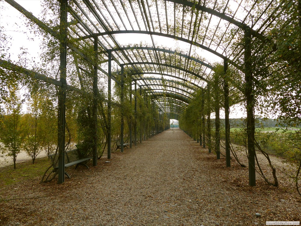 P1010537
