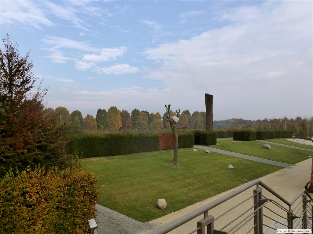 P1010541