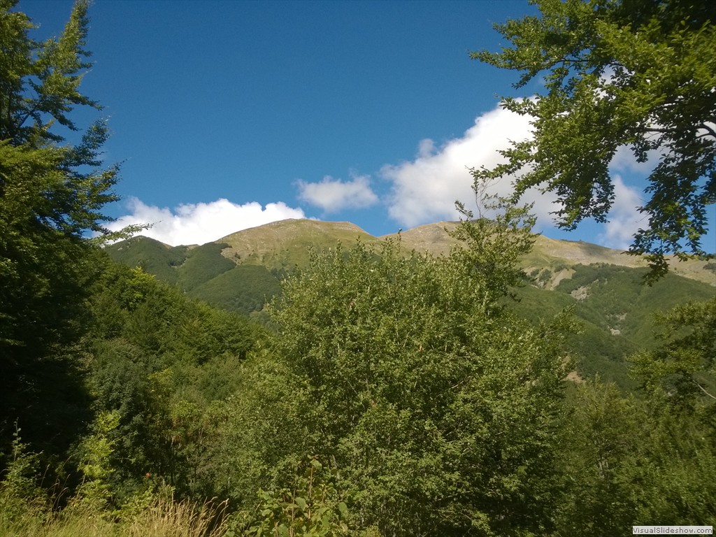 WP_20150820_11_16_19_Pro